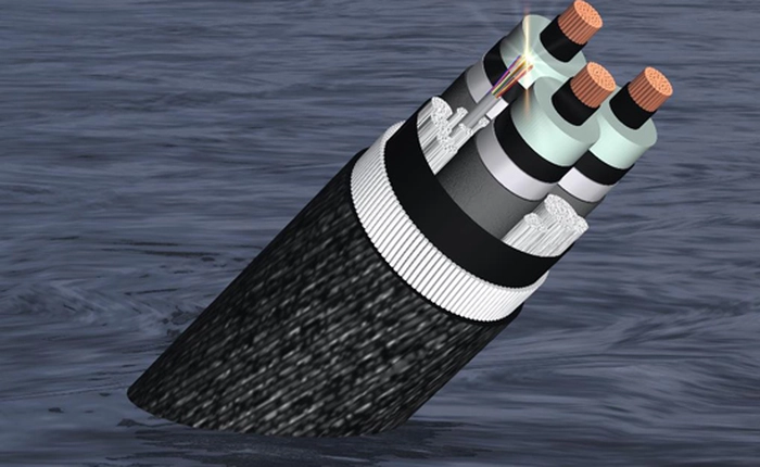 Mạng internet có tốc độ "rùa bò" do đứt cáp quang biển AAG