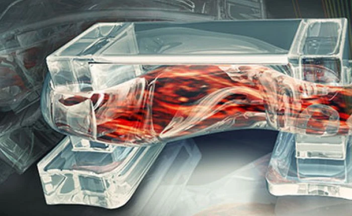 Cơ bắp robot sinh học được tạo ra giống hệt con người