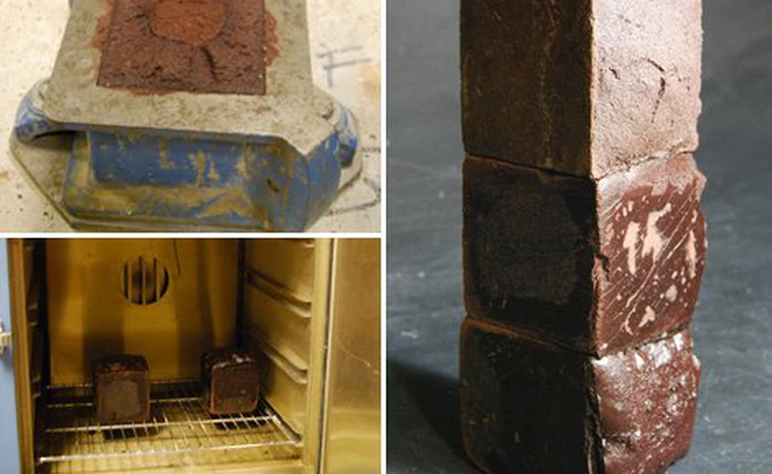 Những công dụng khác thường của máu