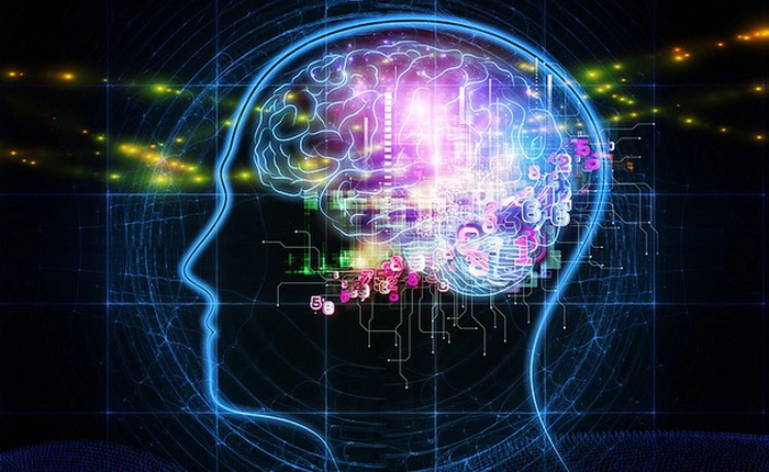 Thực hư chuyện con người chỉ dùng đến 10% não bộ