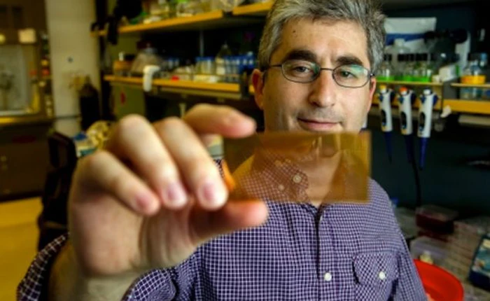 Microchip chuẩn đoán bệnh tiểu đường nhanh chóng và chính xác