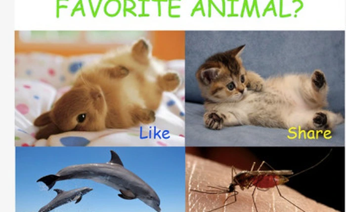 Facebook sẽ "thẳng tay" xóa sổ các fanpage câu like và share