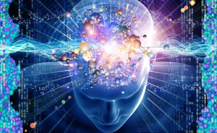 Các nhà khoa học tìm hiểu bí ẩn giác quan thứ 6