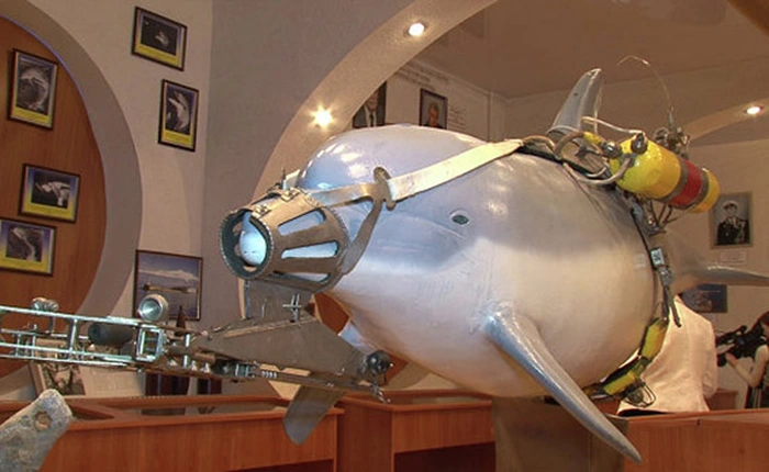 Lực lượng cá heo, hải cẩu Ukraine gia nhập hải quân Nga