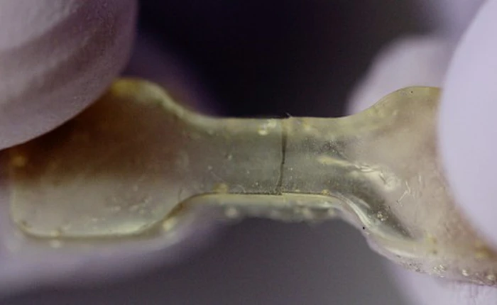 Chế tạo thành công vật liệu polyme giá rẻ có khả năng tự hồi phục