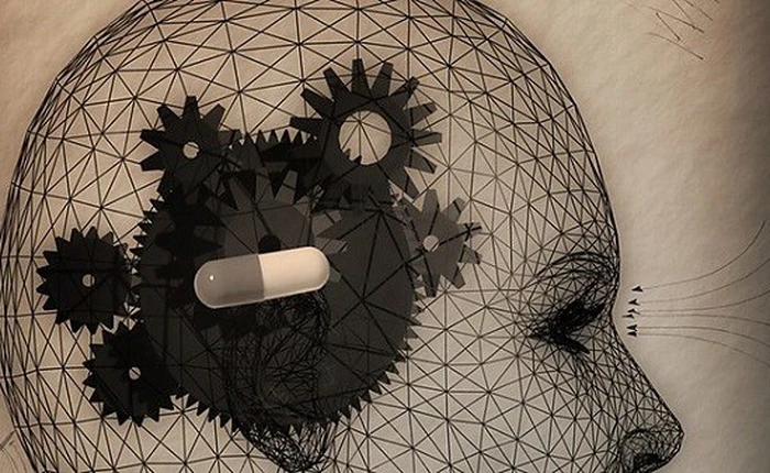 Sẽ có thể cấy ghép ký ức giả vào bộ não