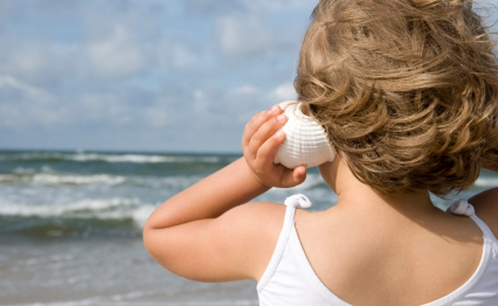 Tại sao chúng ta nghe thấy tiếng sóng biển trong vỏ ốc?