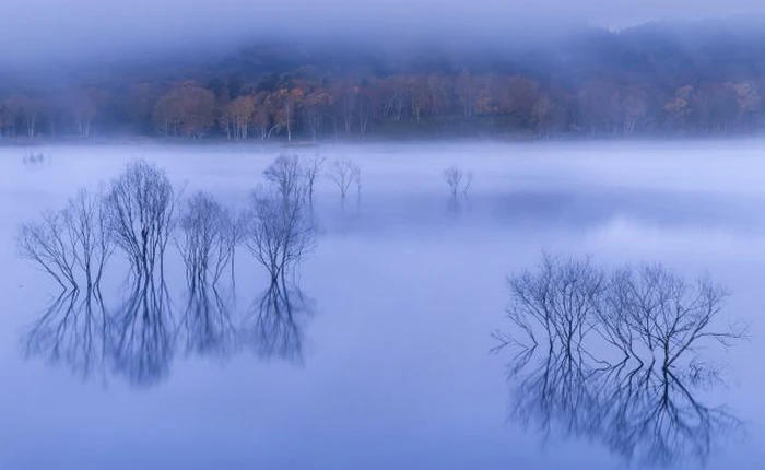 Những bức ảnh đẹp nhất trong cuộc thi National Geographic 2014