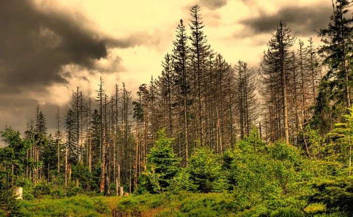 Các tội lỗi của con người khiến “biển cạn, núi mòn”