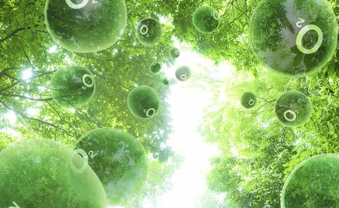 Phát minh cỗ máy sản xuất khí oxy cứu sống nhân loại