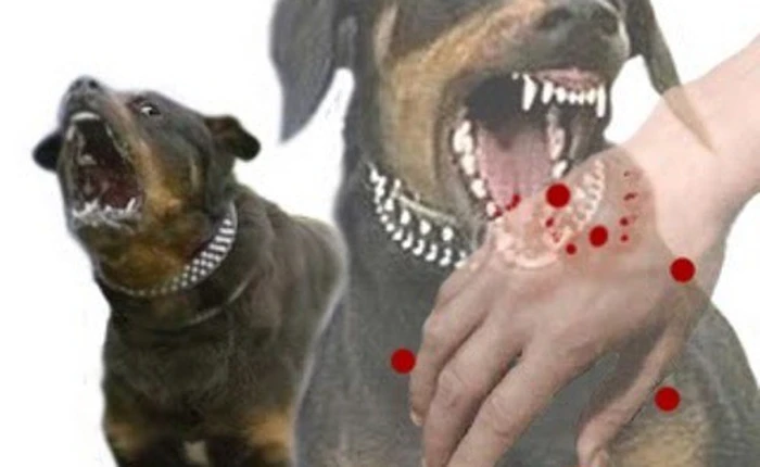 5 loại virus nguy hiểm gấp nhiều lần Ebola