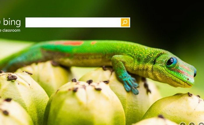 Microsoft ra mắt phiên bản Bing không có quảng cáo dành cho sinh viên