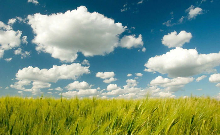 WinZip ra mắt công cụ quản lý dữ liệu "đám mây"