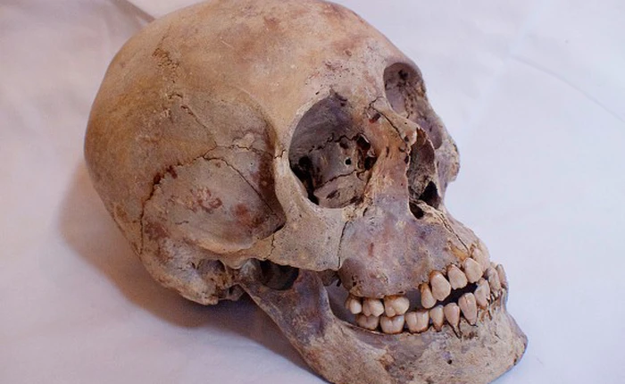 Kinh dị những phương pháp chữa bệnh bằng cách 'ăn thịt người' (Phần cuối)