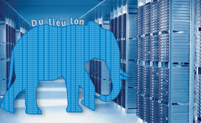 Dữ liệu lớn: Coi chừng nhầm rừng với cây