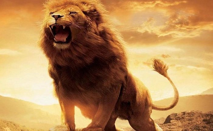 Phát triển thương hiệu: Sư tử gầm ở đâu?