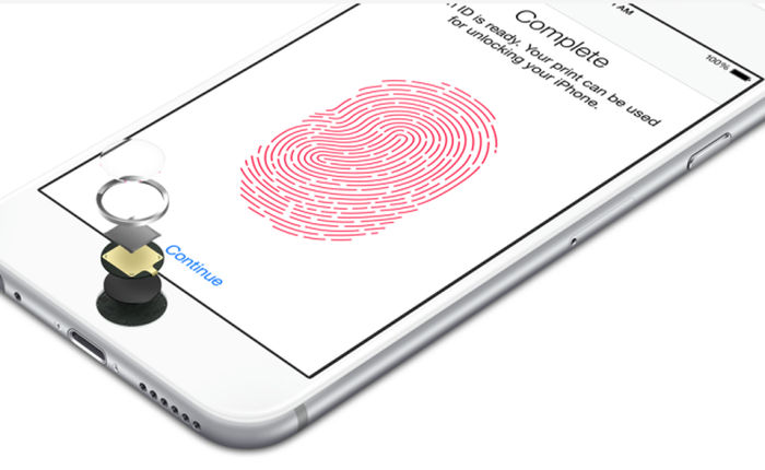 Hướng dẫn quay về iOS 8.0, sửa lỗi mất sóng và Touch ID không hoạt động