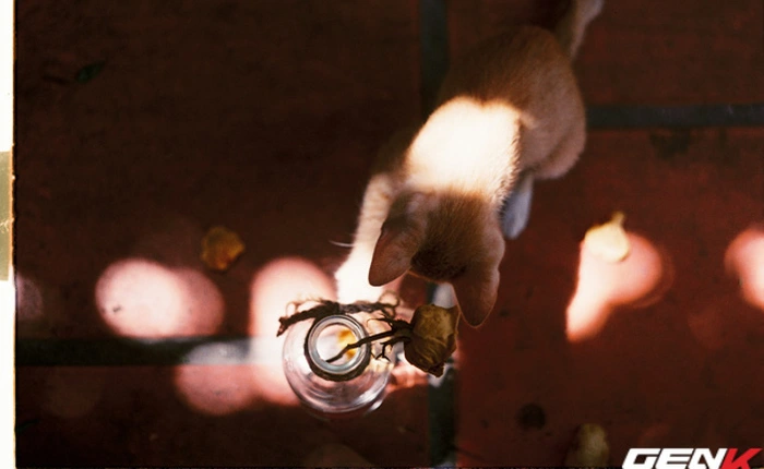 Muốn cải thiện kỹ năng nhiếp ảnh, hãy chụp ảnh phim!