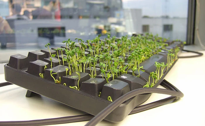 [Picture] Những trò đùa không đỡ được của cư dân mạng ngày cá tháng tư