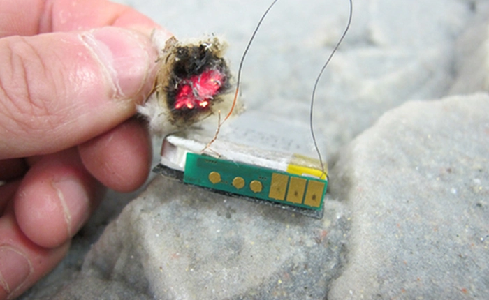 Làm sao để "sinh tồn giữa hoang đảo" chỉ nhờ một chiếc điện thoại?