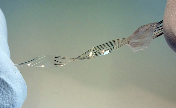 Cấy ghép tủy sống bằng mô điện – một bước tiến mới tới cybog