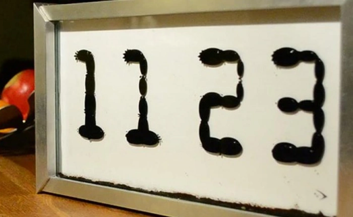 [Video] Lạ mắt với đồng hồ được làm từ những giọt nước