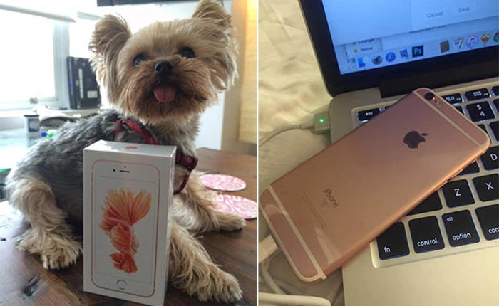 Apple chưa bán, đã có người dùng nhận được iPhone 6s vàng hồng