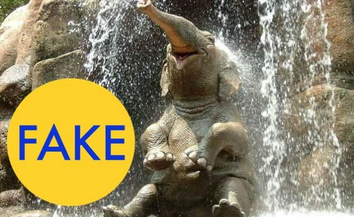 8 bức ảnh giả mạo đánh lừa cộng đồng mạng