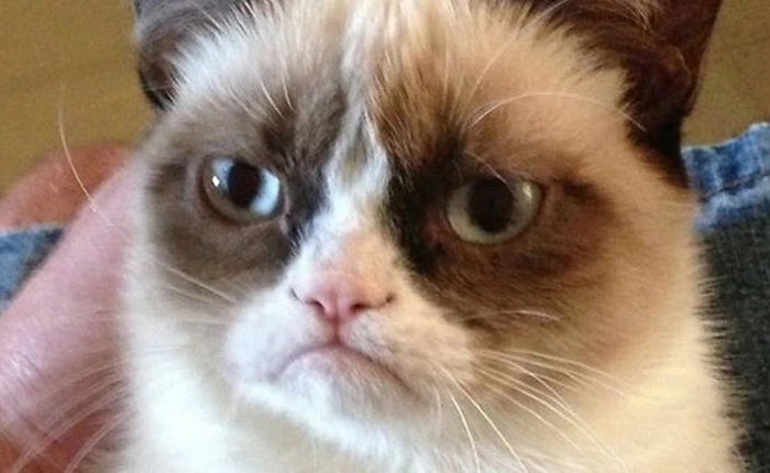 Khoa học chứng minh sống vui vẻ chưa chắc đã khỏe mạnh