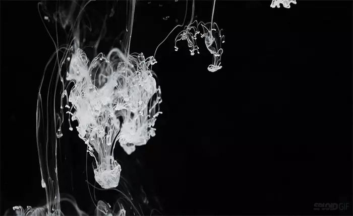 Đen và trắng bên trong những sắc màu