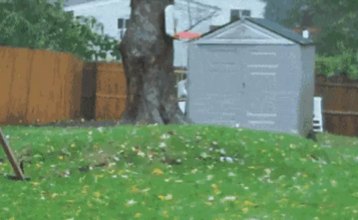 Xem sức mạnh của bão cấp 17 kinh khủng đến đâu