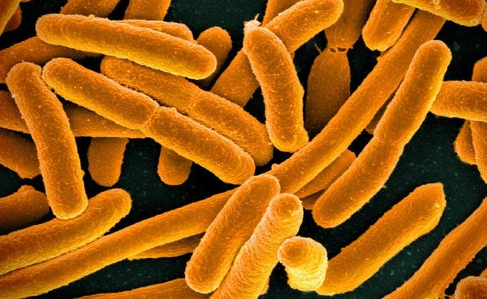 Phát hiện nghiêm trọng có thể khiến thuốc kháng sinh không còn tác dụng