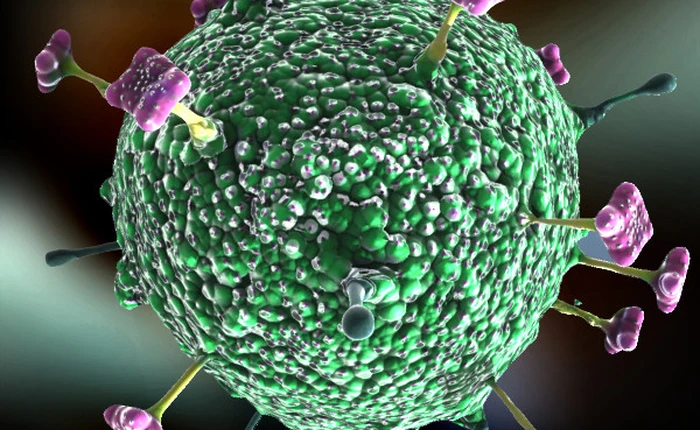 Điểm mặt những loại virus đáng sợ nhất cho con người mà ít ai biết đến