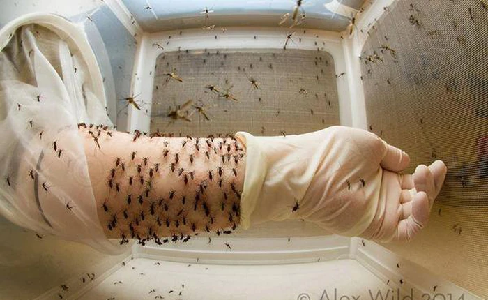 Chùm ảnh giúp bạn ngừng kêu ca về sự lạnh lẽo của mùa đông