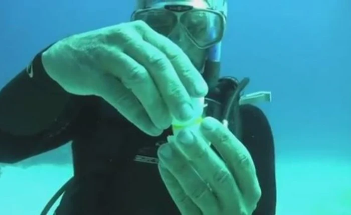 Điều bất ngờ khi đập trứng dưới đáy biển sâu