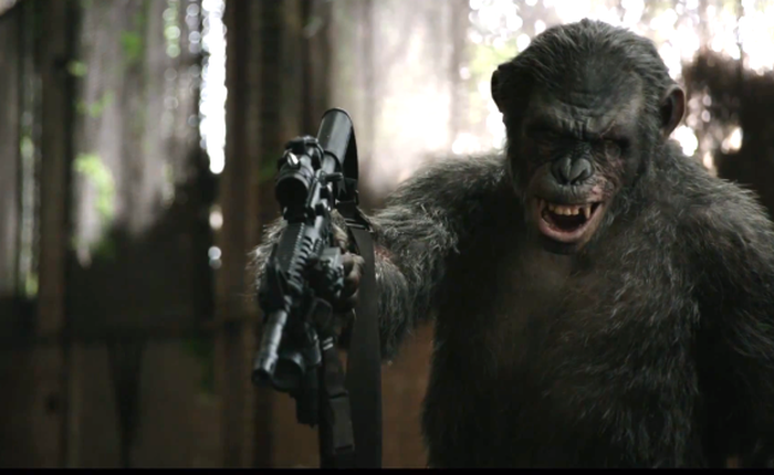 Một con tinh tinh bất ngờ dùng gậy đánh rơi drone