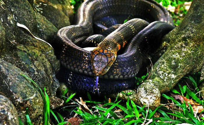 Đây là 10 loại dung dịch đắt nhất thế giới