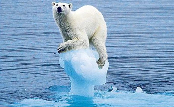 Trải qua năm nóng nhất lịch sử, nước biển dâng cao đến mức vô cùng nguy hiểm