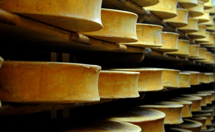 Người Pháp dùng pho mát để sản xuất điện