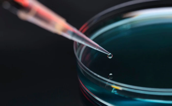 Google bắt đầu thay đổi cuộc sống con người từ việc trị tiểu đường