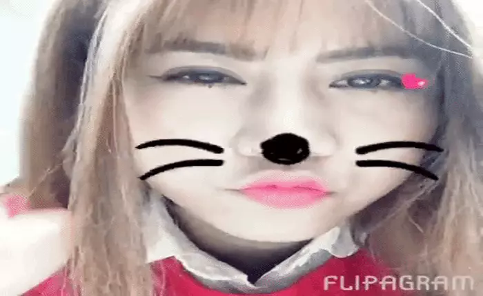 5 ứng dụng giúp làm video ảnh đại diện Facebook hay điên đảo