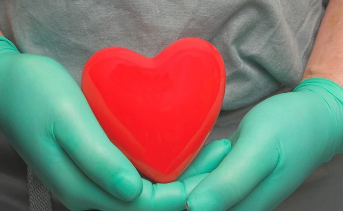 Hồi hộp xem ca cấy ghép tim trên người