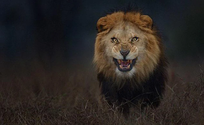 Giây phút đối diện với tử thần trông như thế nào?