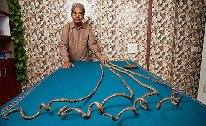 Những câu chuyện khoa học kỳ lạ và thú vị nhất năm 2015