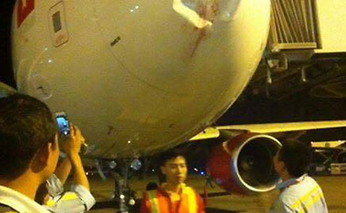 Vì sao chim lại là một loài vật cực kỳ nguy hiểm với máy bay?