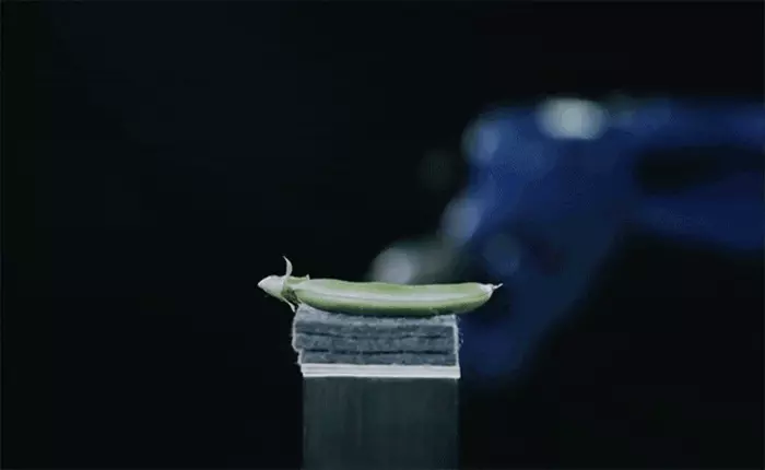 [Video] Chiêm ngưỡng Robot "múa" Katana như Ninja Fruit