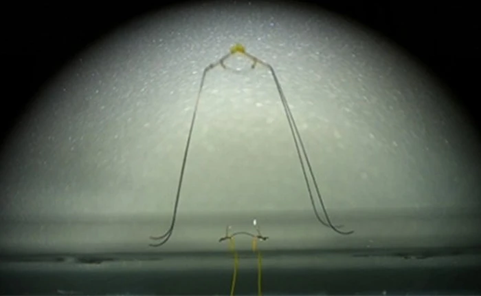 Phát minh robot tí hon có khả năng nhảy trên mặt nước