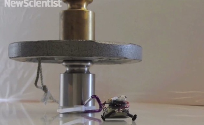 Robot tí hon có khả năng kéo vật nặng gấp 100 lần cơ thể