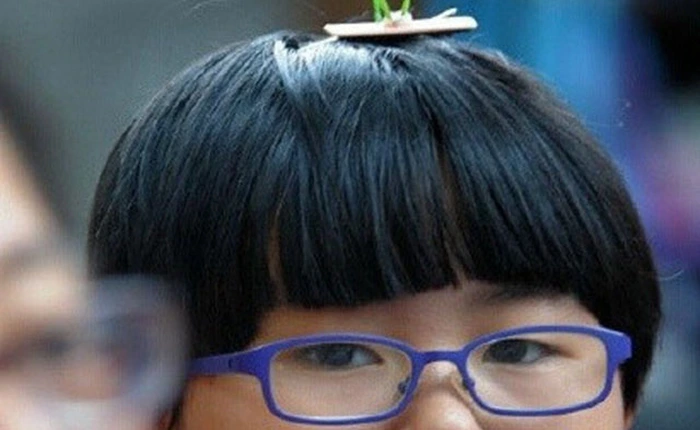 Cài mầm cây trên đầu, xu hướng đang nở rộ tại Trung Quốc