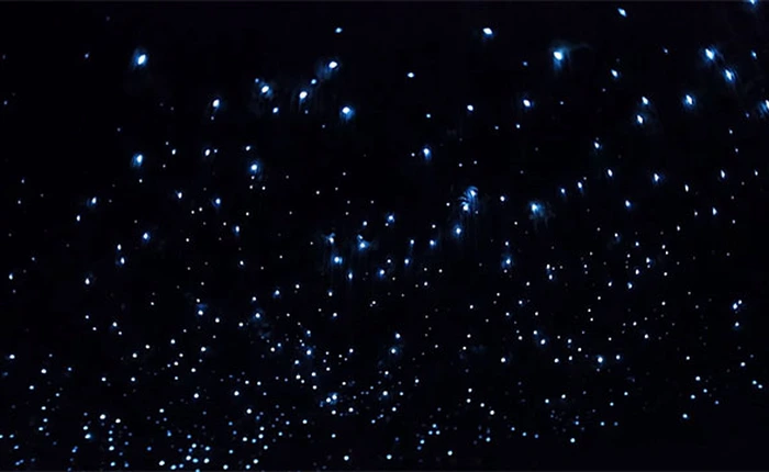 Canon khoe sức mạnh quay đêm với cảm biến mới, ISO đạt 300.000